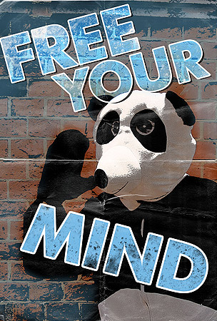 Free Your Mind
