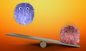 Kung Foo Fluffies